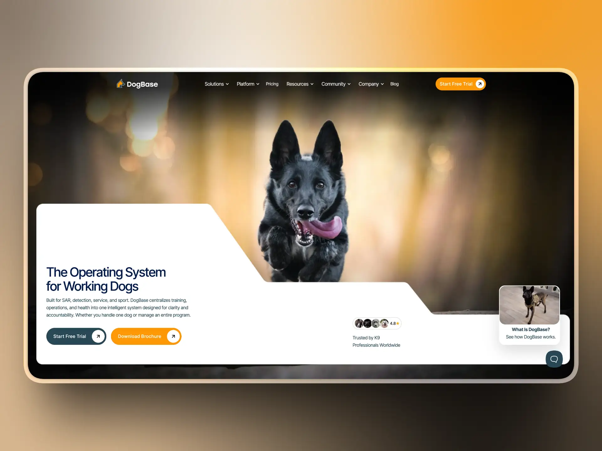 DogBase website